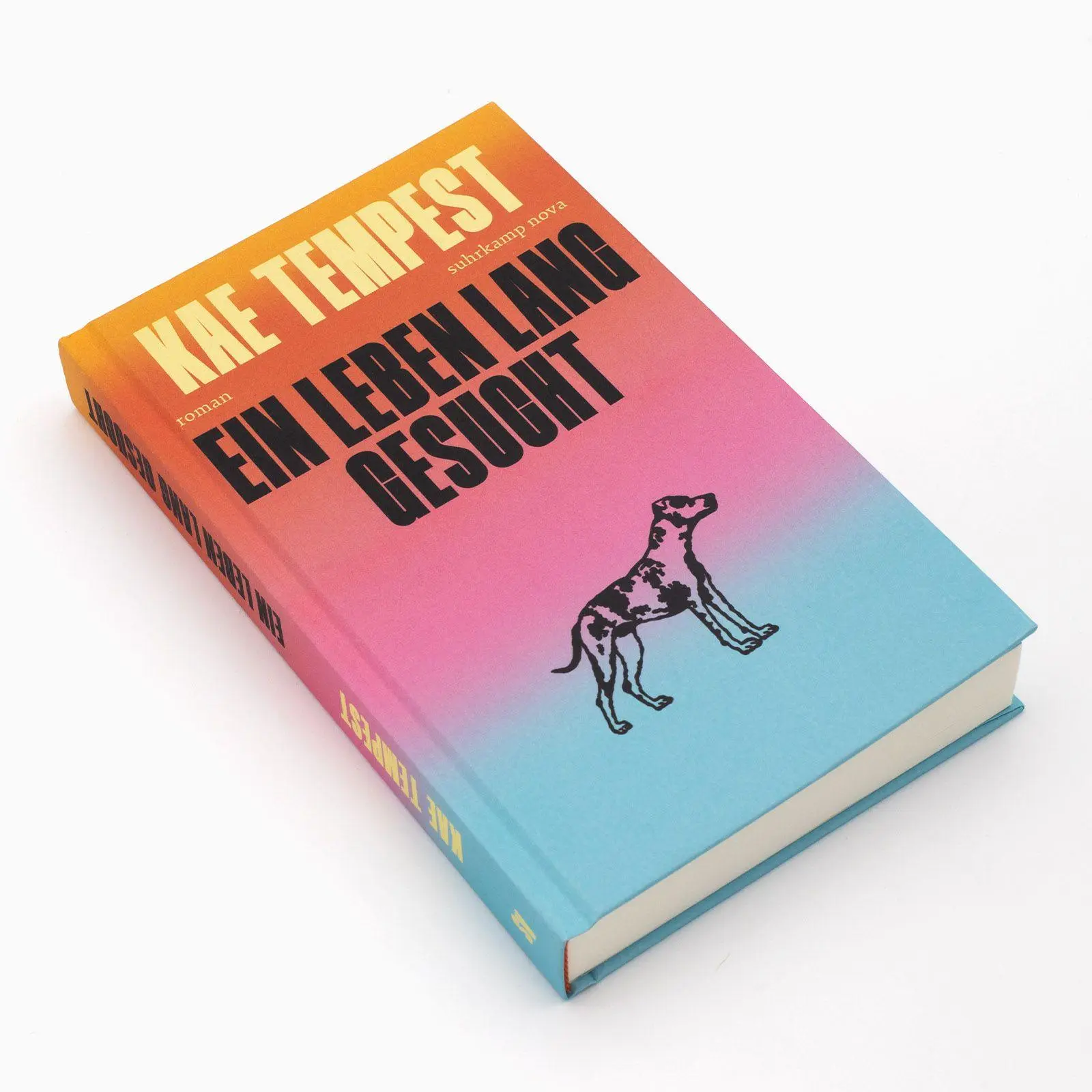 Bild: 9783518432990 | Ein Leben lang gesucht | Kae Tempest | Buch | 390 S. | Deutsch | 2026