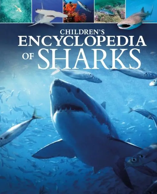 Cover: 9781398813090 | Children's Encyclopedia of Sharks | Claudia Martin | Buch | Gebunden