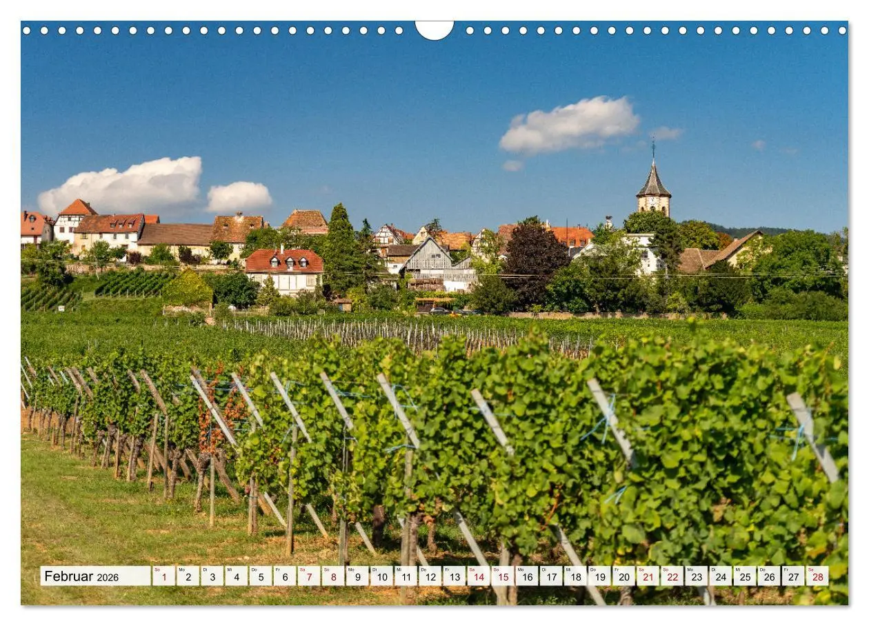 Bild: 9783457493090 | Die Elsässer Weinstraße (Wandkalender 2026 DIN A3 quer), CALVENDO...