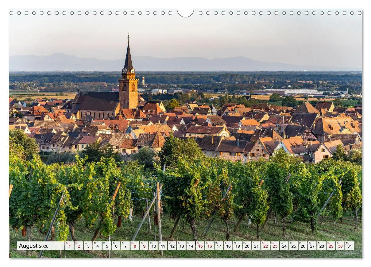 Bild: 9783457493090 | Die Elsässer Weinstraße (Wandkalender 2026 DIN A3 quer), CALVENDO...