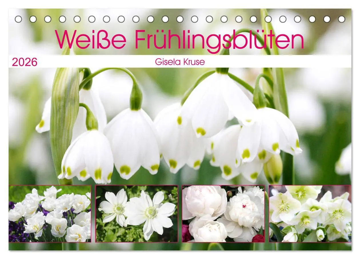 Cover: 9783457703090 | Weiße Frühlingsblüten (Tischkalender 2026 DIN A5 quer), CALVENDO...