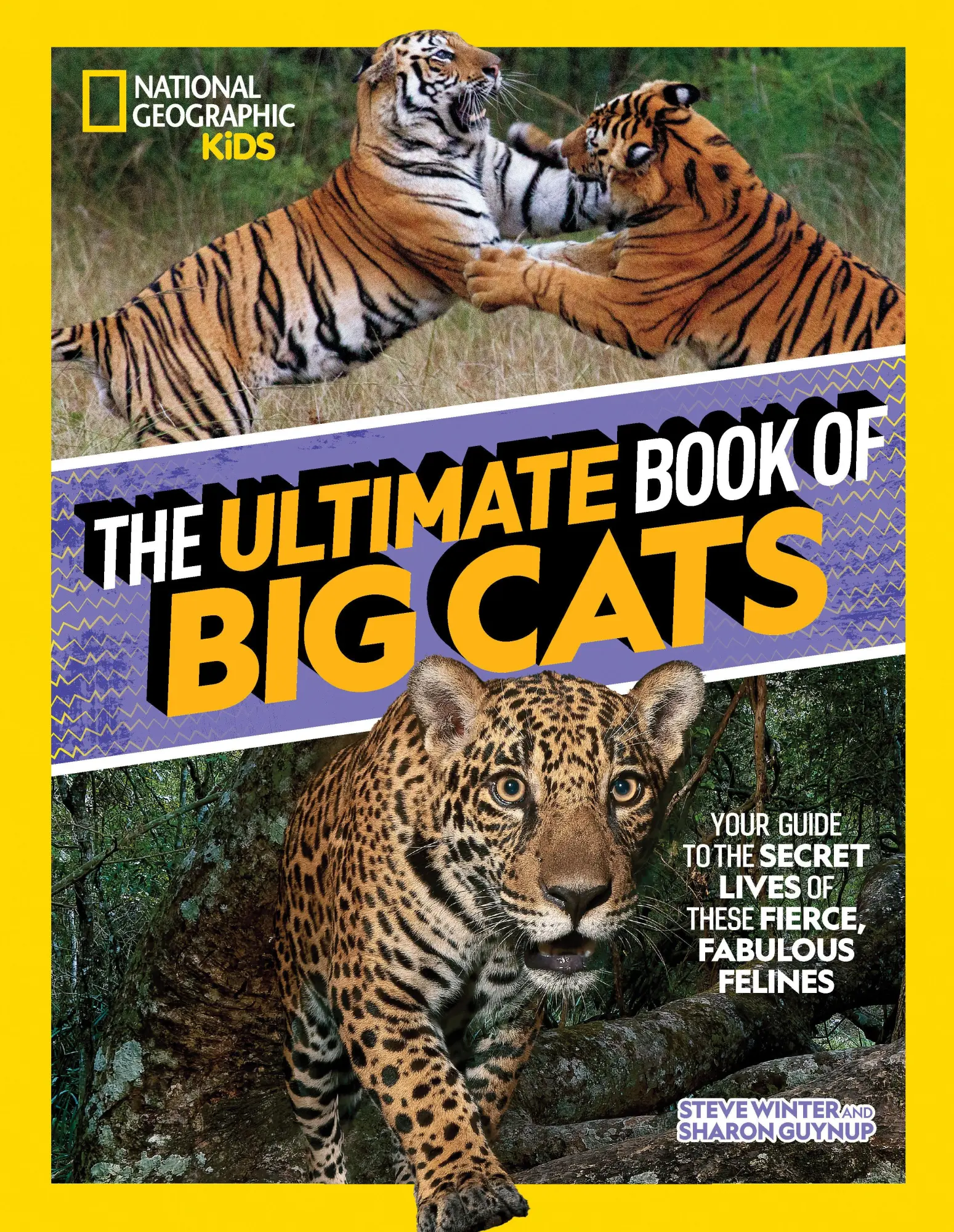 Cover: 9781426373190 | The Ultimate Book of Big Cats | Steve Winter | Buch | Gebunden | 2022