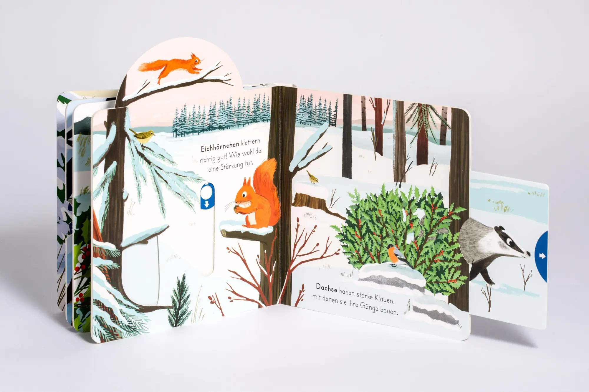 Bild: 9783328303190 | Komm mit nach draußen! - Tiere im Schnee | Susanne Schiefelbein | Buch