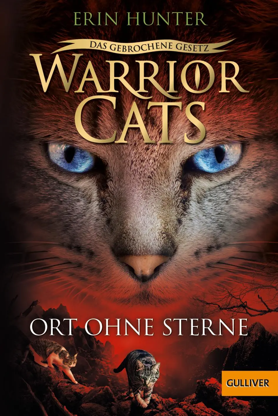Cover: 9783407813190 | Warrior Cats - Das gebrochene Gesetz. Ort ohne Sterne | Erin Hunter