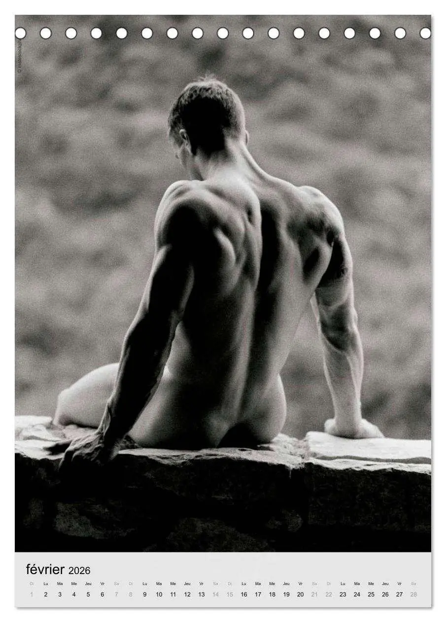 Bild: 9783516573190 | contrastes hommes (Calendrier de bureau 2026 DIN A5 horizontal),...