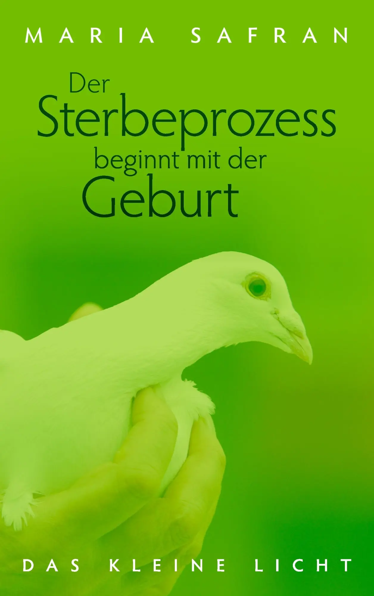 Cover: 9783837023190 | Der Sterbeprozess beginnt mit der Geburt | - Das kleine Licht - | Buch