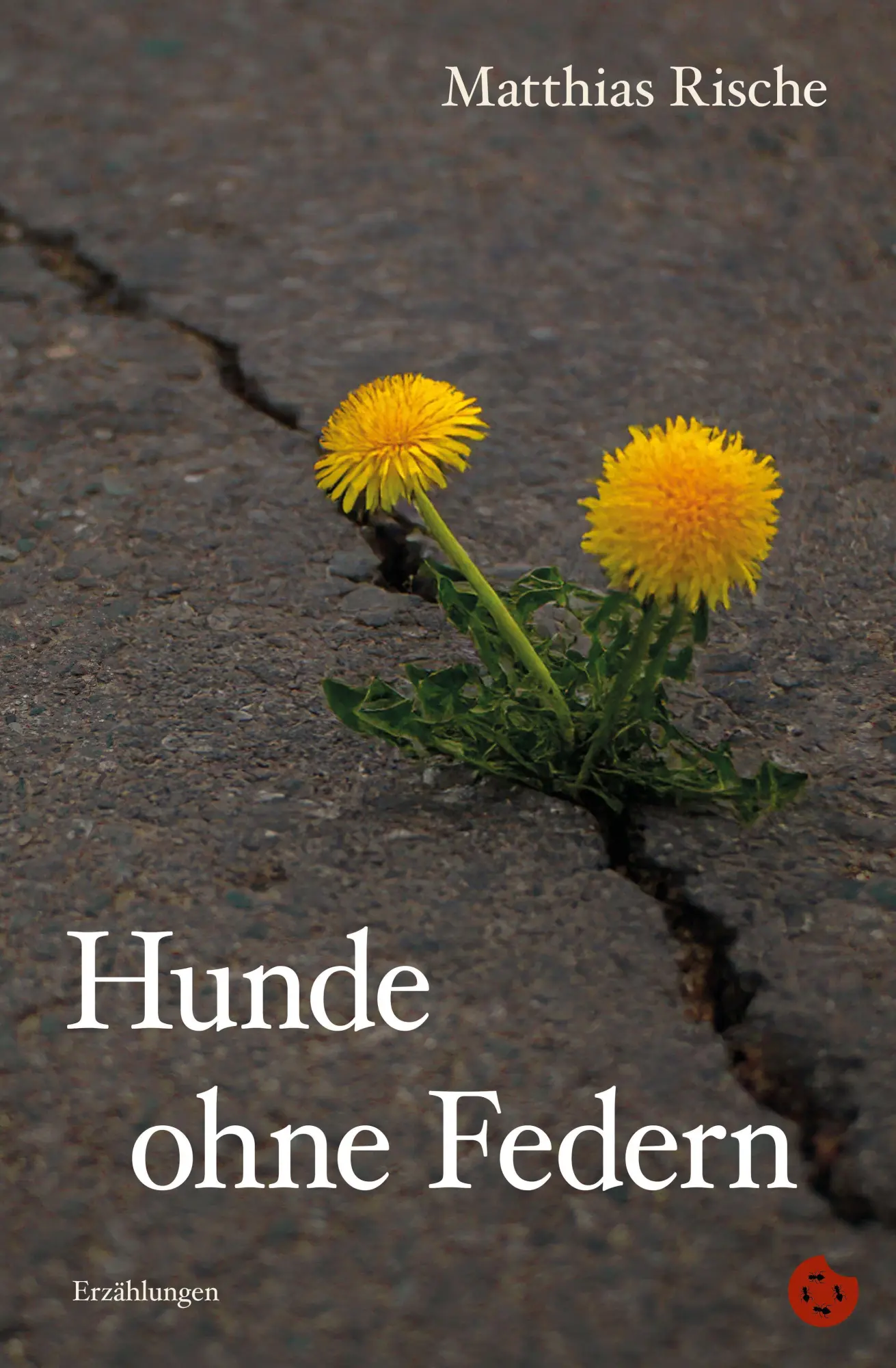 Cover: 9783959963190 | Hunde ohne Federn | Erzählungen | Matthias Rische | Taschenbuch | 2025