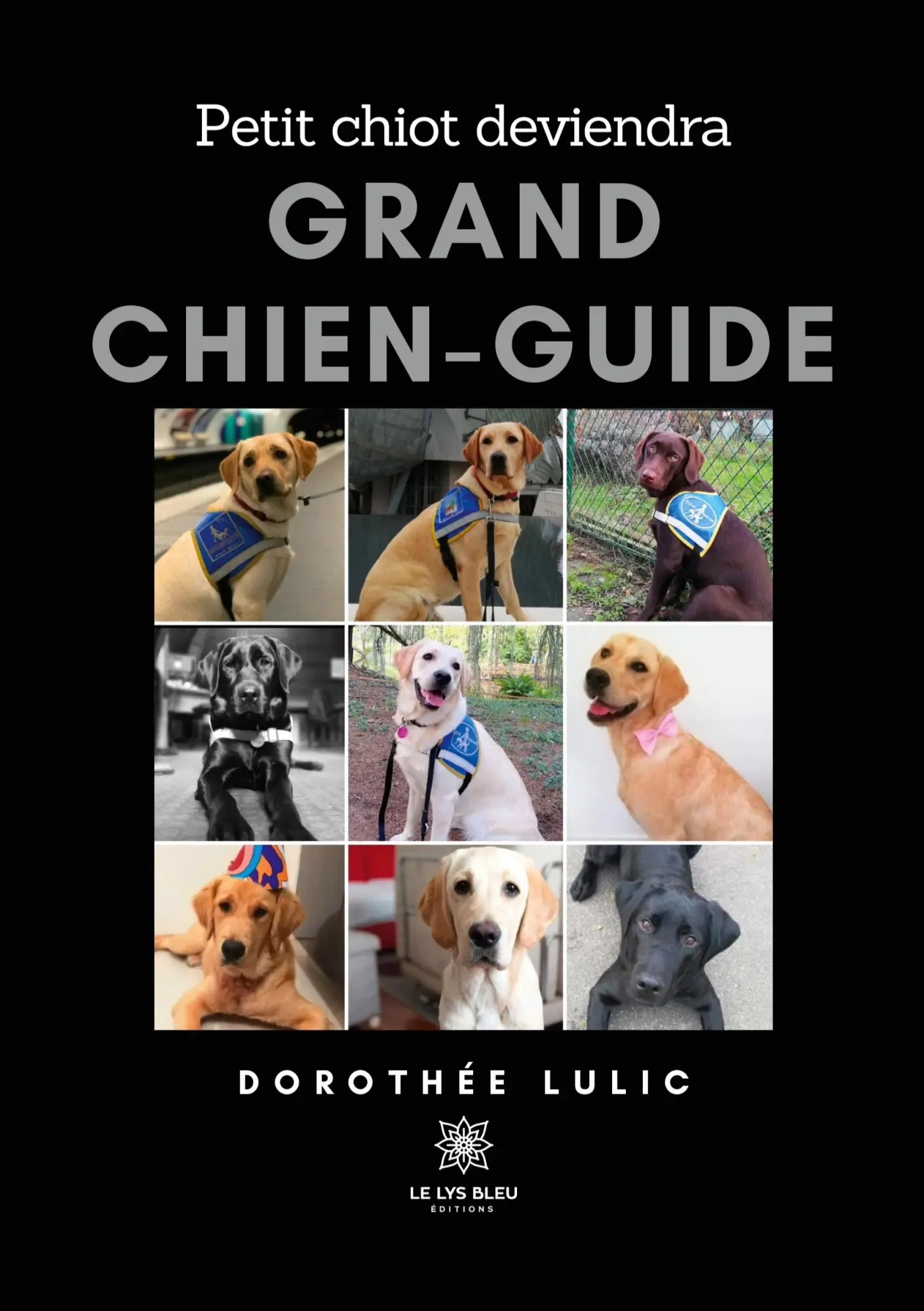 Cover: 9791042213190 | Petit chiot deviendra grand chien-guide | Dorothée Lulic | Taschenbuch