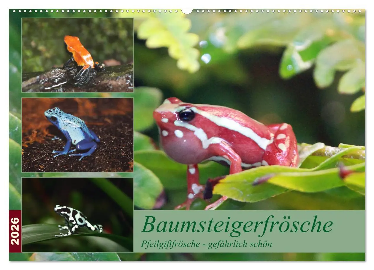 Cover: 9783516183290 | Baumsteigerfrösche. Pfeilgiftfrösche - gefährlich schön...
