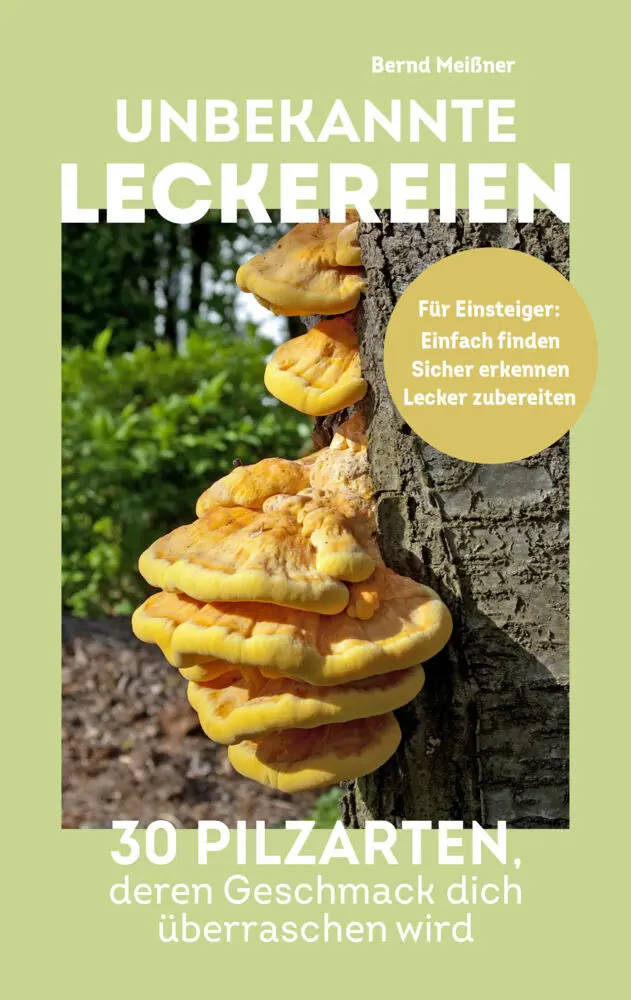 Bild: 9783517303390 | Unbekannte Leckereien: 30 Pilzarten, deren Geschmack dich...