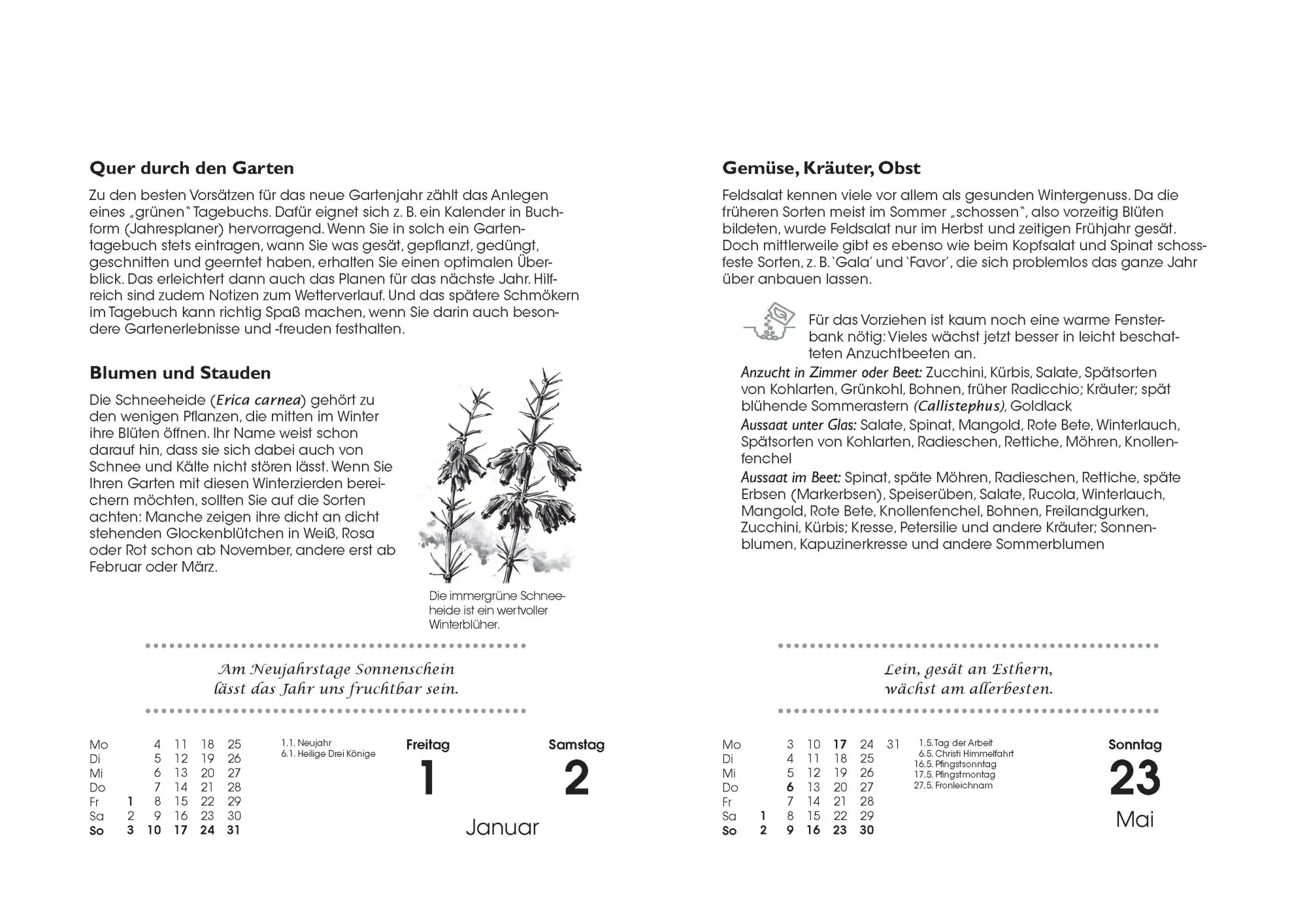 Bild: 9783809453390 | Gartenkalender 2027 | Joachim Mayer | Kalender | 400 S. | Deutsch