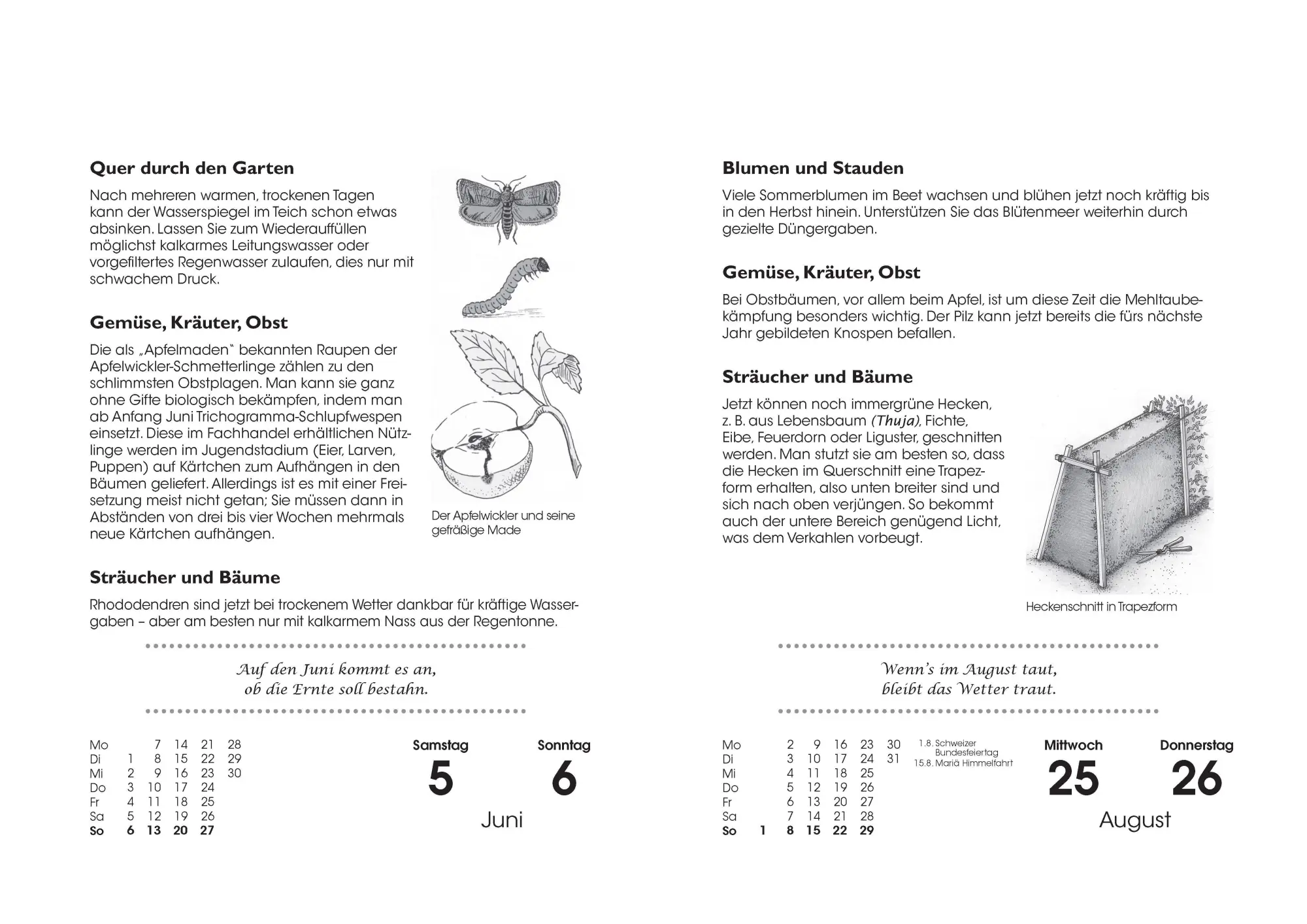 Bild: 9783809453390 | Gartenkalender 2027 | Joachim Mayer | Kalender | 400 S. | Deutsch