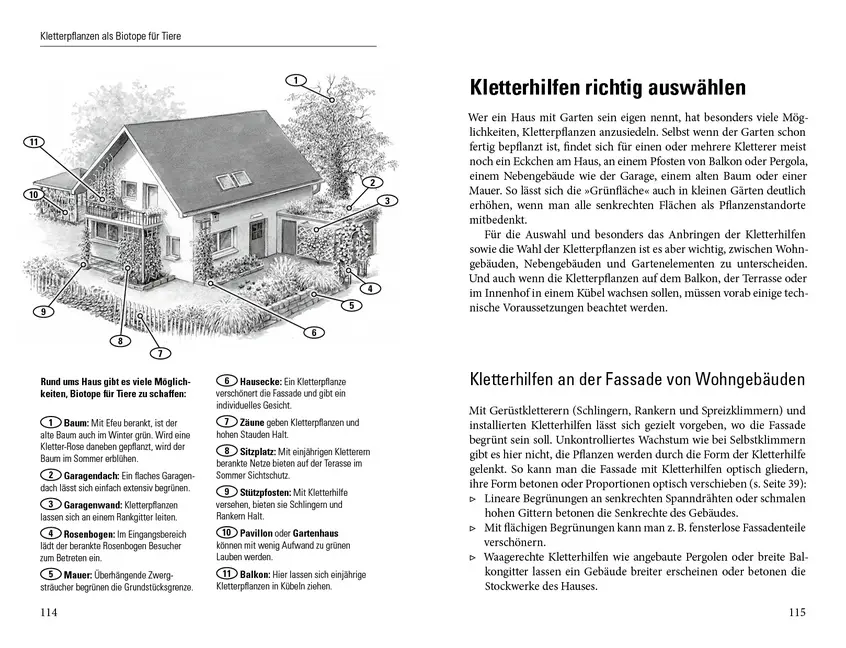 Bild: 9783895663390 | Grüne Wände für Haus und Garten | Brigitte Kleinod | Buch | 180 S.