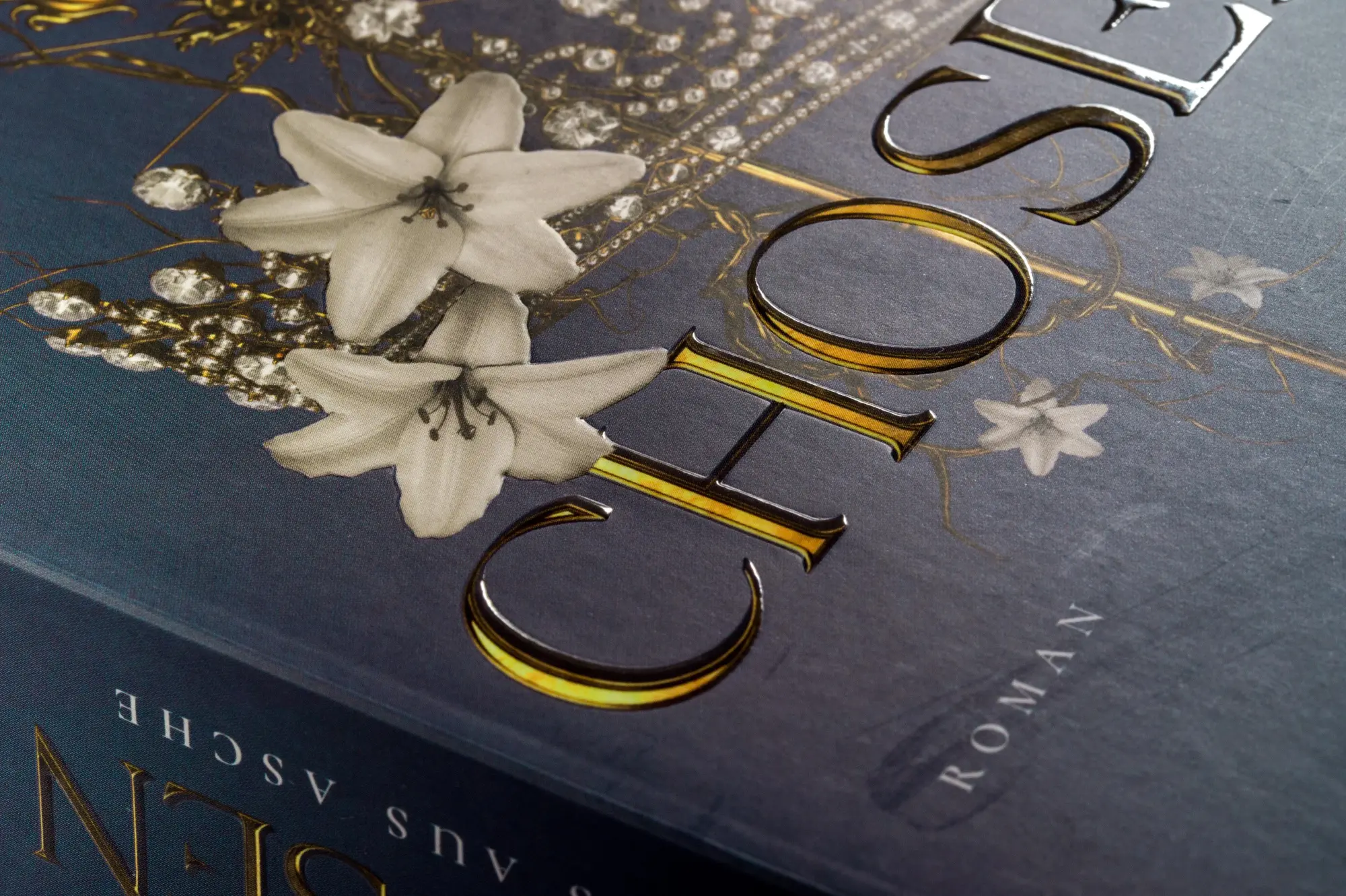 Bild: 9783453323490 | Chosen - Haus aus Asche | Emily Bähr | Taschenbuch | Die Chosen-Reihe