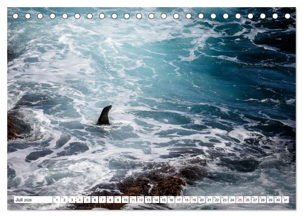 Bild: 9783457693490 | Wildlife Australien (Tischkalender 2026 DIN A5 quer), CALVENDO...