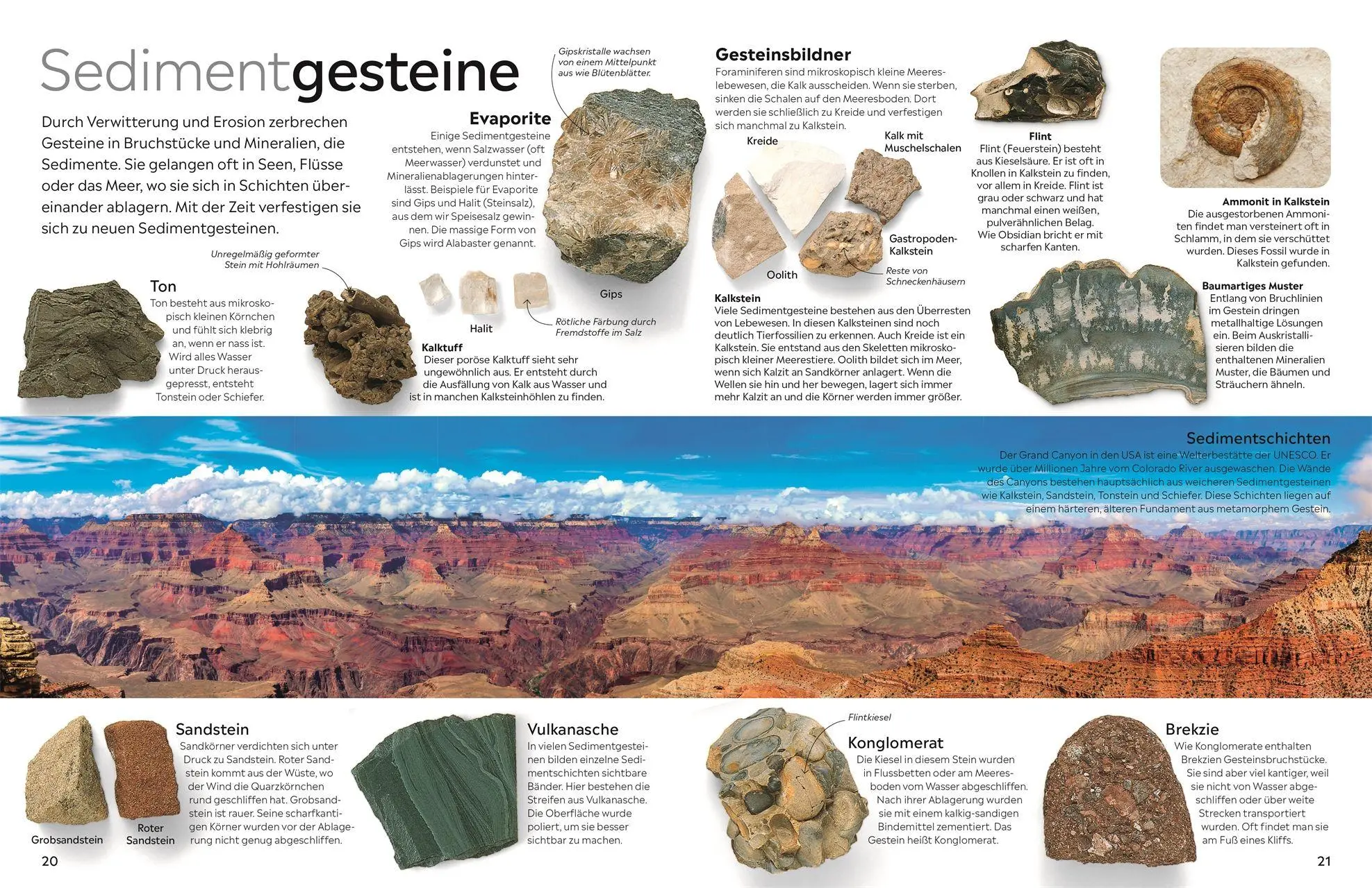 Bild: 9783831053490 | memo Wissen. Steine und Mineralien | R. F. Symes | Buch | memo Wissen