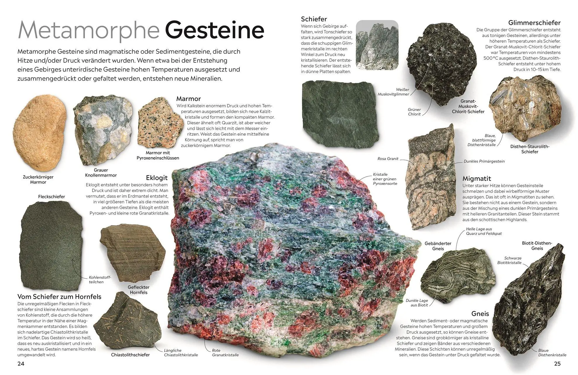 Bild: 9783831053490 | memo Wissen. Steine und Mineralien | R. F. Symes | Buch | memo Wissen