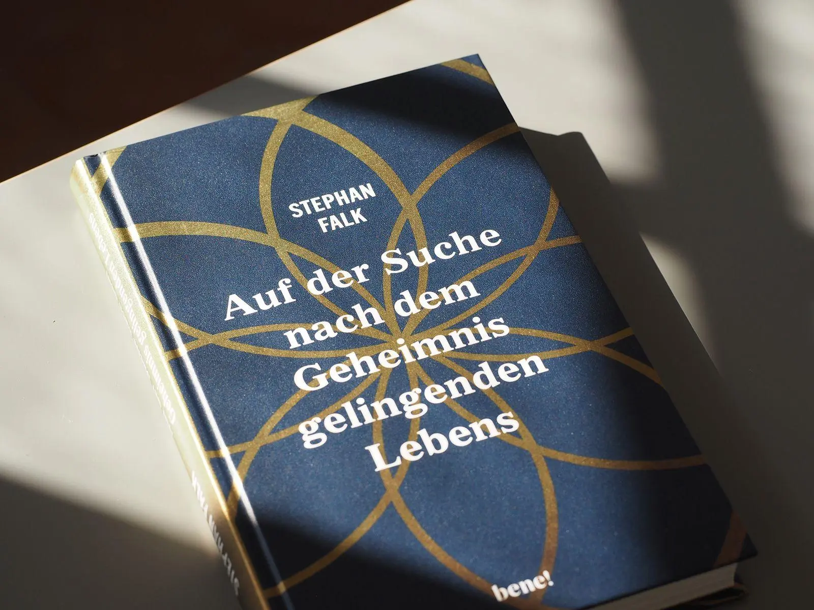 Bild: 9783963403590 | Auf der Suche nach dem Geheimnis gelingenden Lebens | Stephan Falk