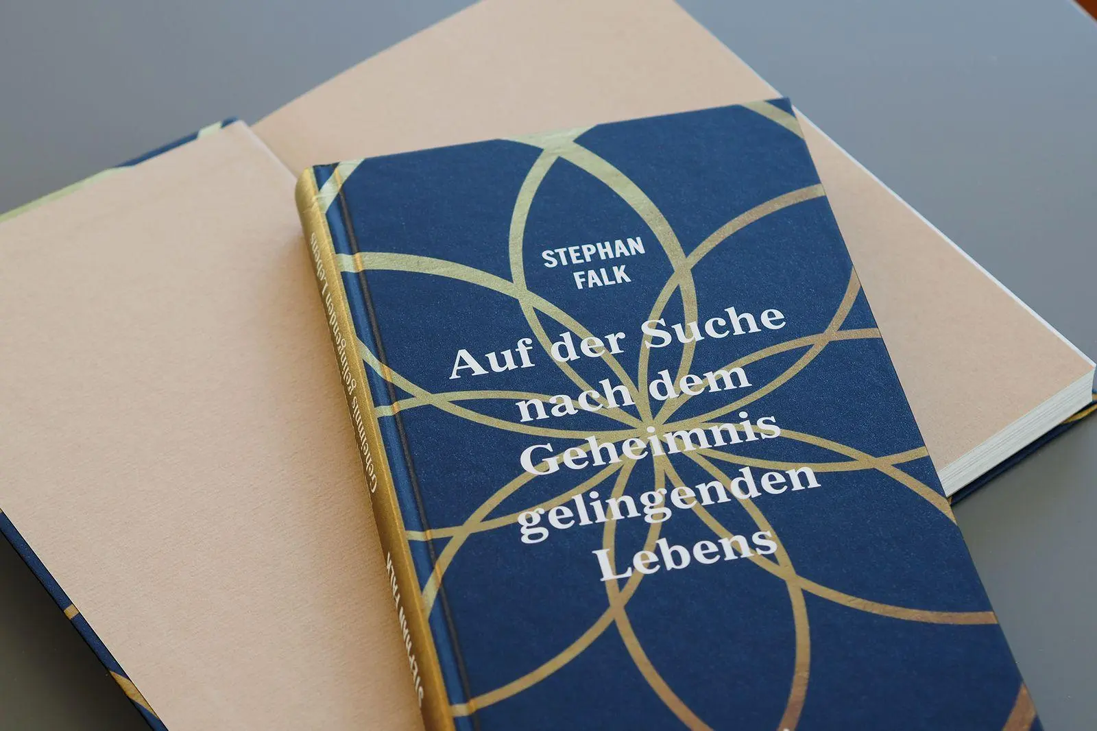Bild: 9783963403590 | Auf der Suche nach dem Geheimnis gelingenden Lebens | Stephan Falk