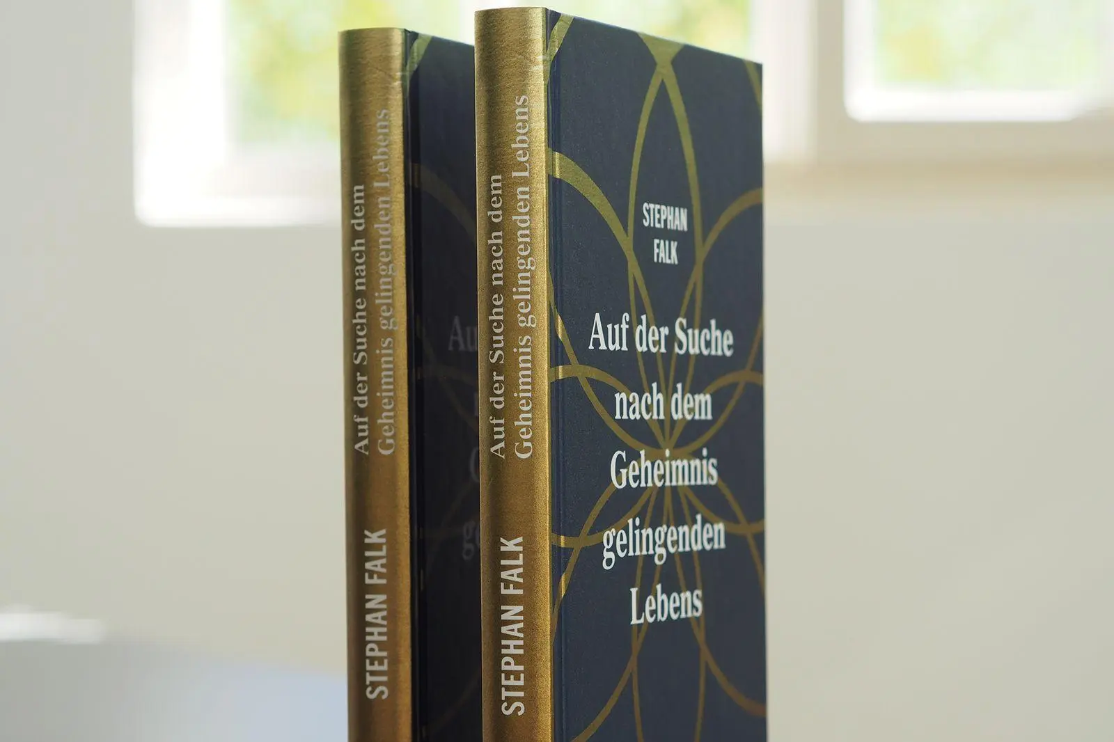 Bild: 9783963403590 | Auf der Suche nach dem Geheimnis gelingenden Lebens | Stephan Falk