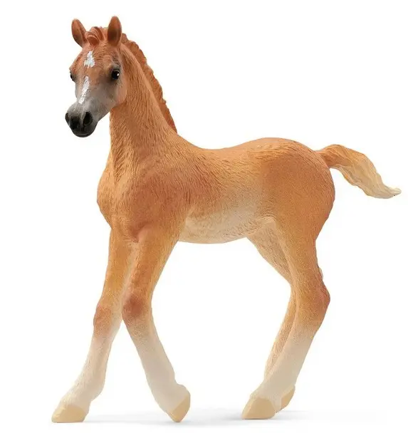 Cover: 4059433753690 | Schleich 13984 - Horse Club, Araber Fohlen, Pferd, Höhe: 8 cm | 2024