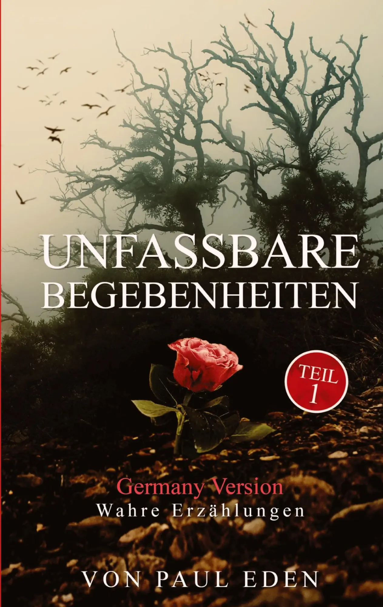 Cover: 9783384313690 | Unfassbare Begebenheiten | Zum Teil wahre Begebenheiten | Paul Eden