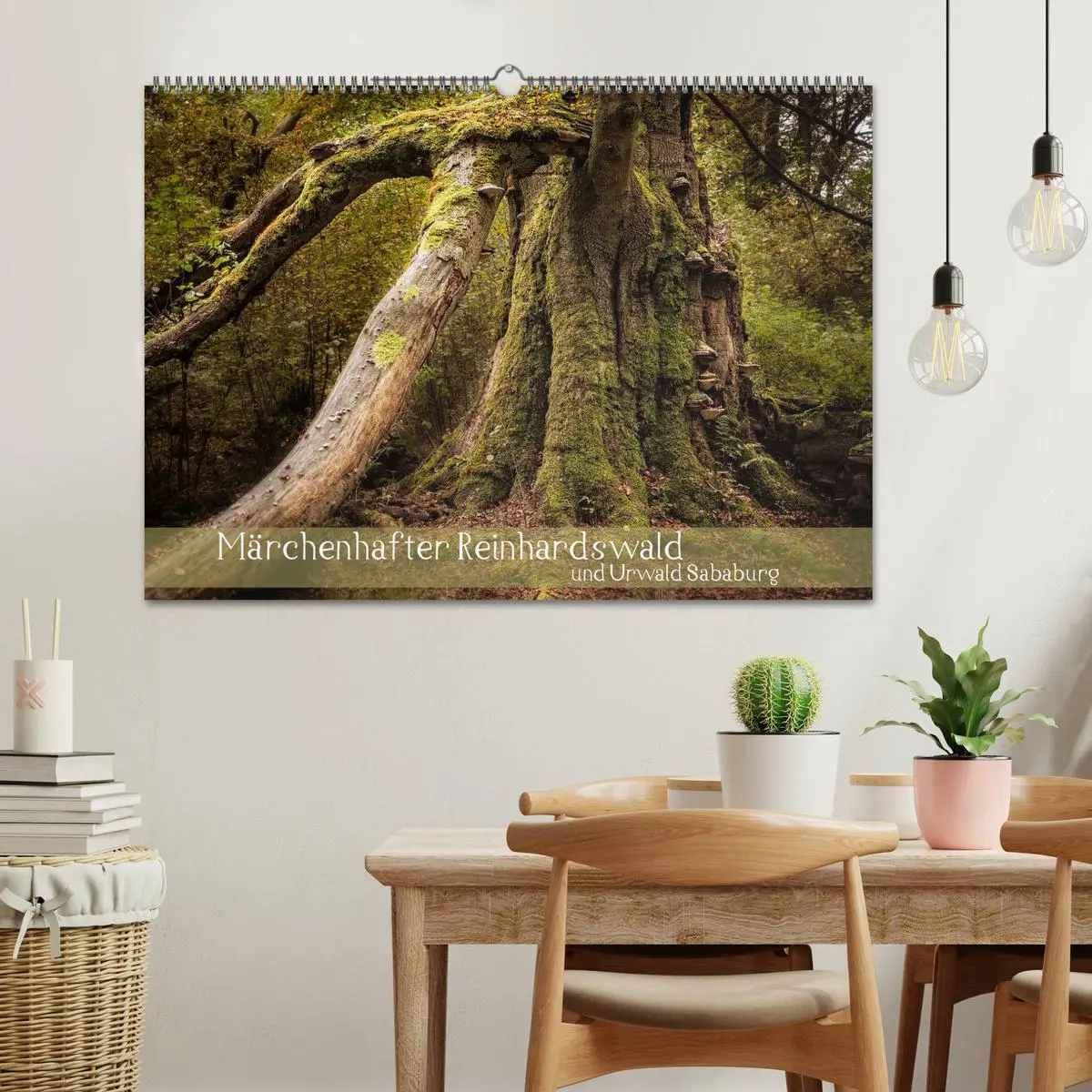 Bild: 9783516073690 | Märchenhafter Reinhardswald und Urwald Sababurg (Wandkalender 2026...