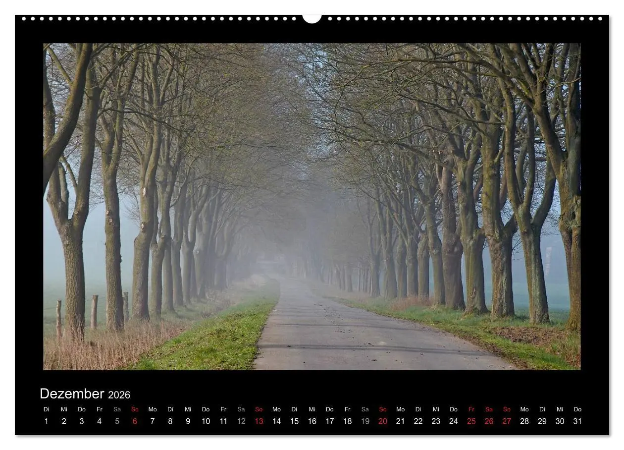 Bild: 9783516073690 | Märchenhafter Reinhardswald und Urwald Sababurg (Wandkalender 2026...