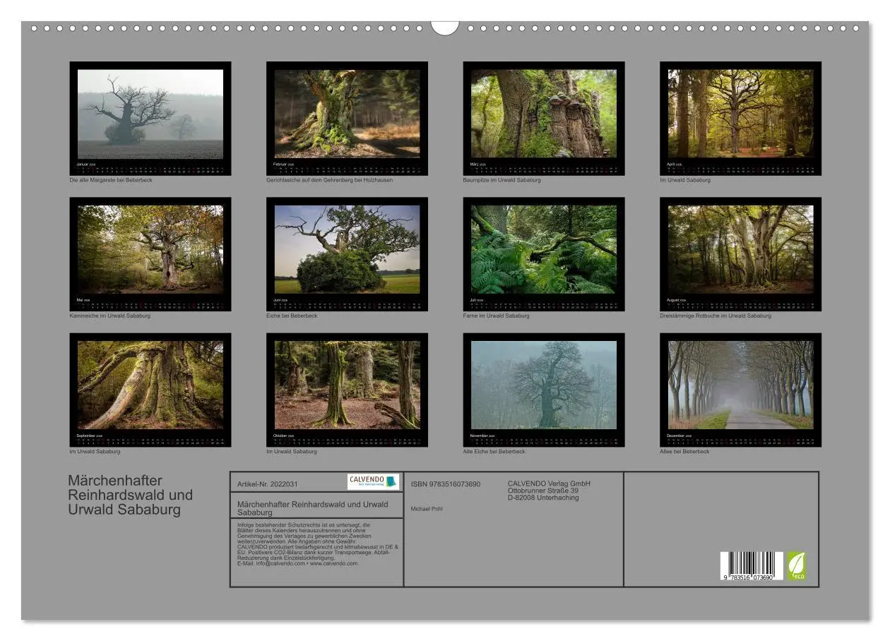 Bild: 9783516073690 | Märchenhafter Reinhardswald und Urwald Sababurg (Wandkalender 2026...