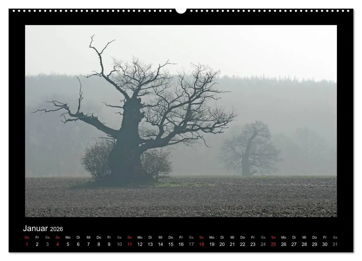 Bild: 9783516073690 | Märchenhafter Reinhardswald und Urwald Sababurg (Wandkalender 2026...