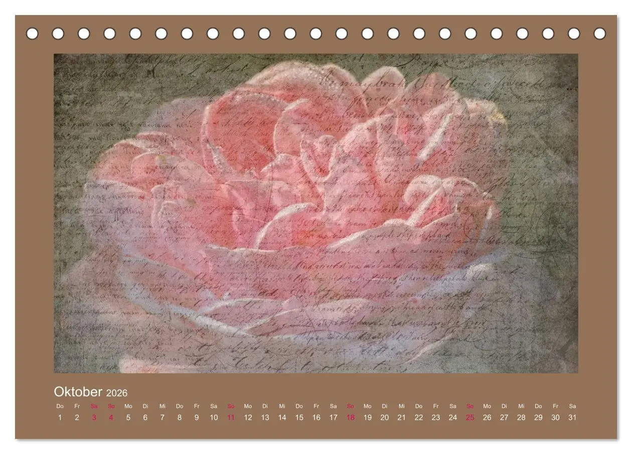 Bild: 9783516143690 | Romantische Rosen (Tischkalender 2026 DIN A5 quer), CALVENDO...
