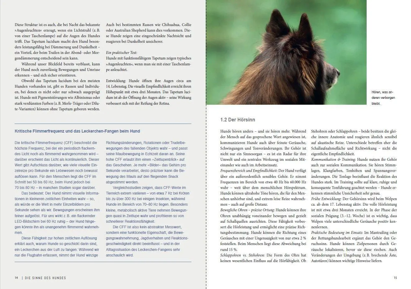 Bild: 9783275023790 | Dem Geruch auf der Spur | Geruchssinn verstehen bei Hund und Mensch