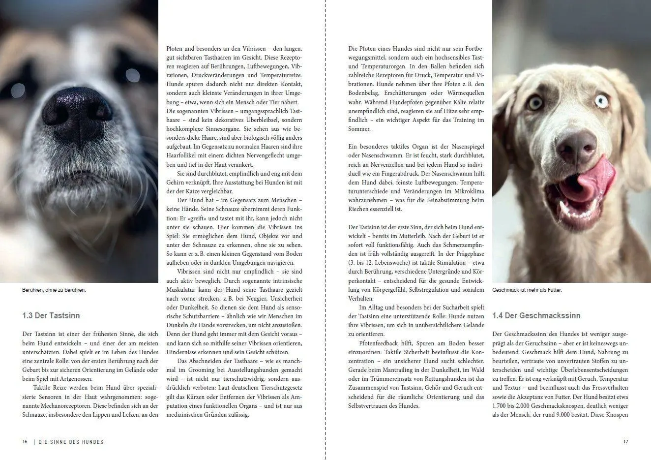 Bild: 9783275023790 | Dem Geruch auf der Spur | Geruchssinn verstehen bei Hund und Mensch