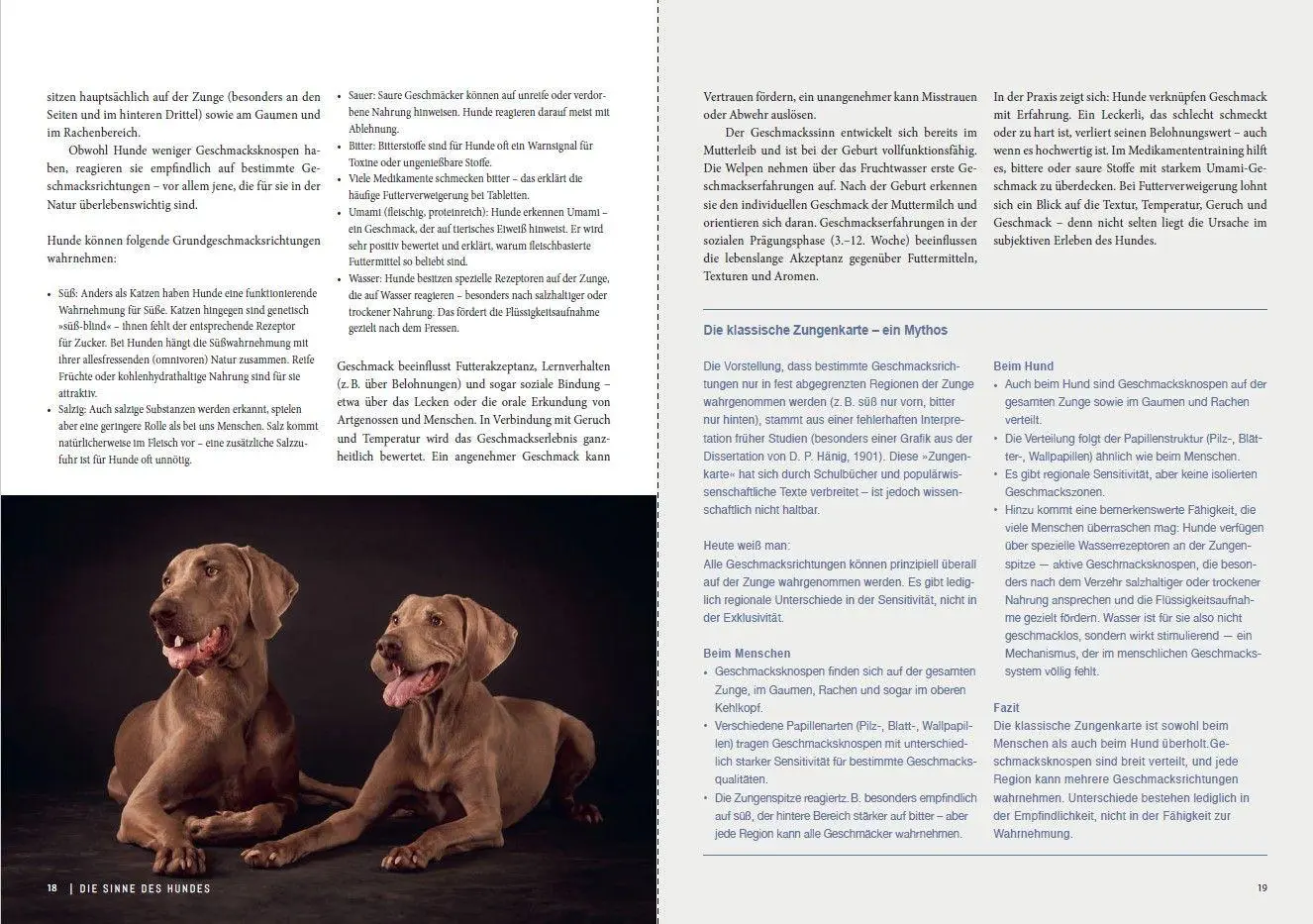 Bild: 9783275023790 | Dem Geruch auf der Spur | Geruchssinn verstehen bei Hund und Mensch