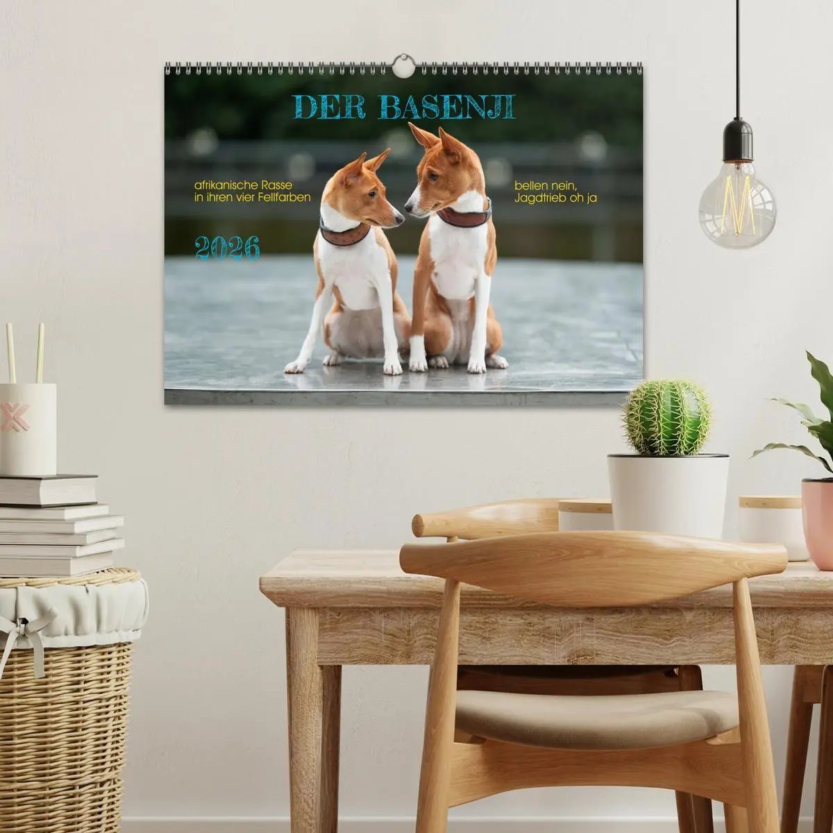Bild: 9783457353790 | Der Basenji (Wandkalender 2026 DIN A3 quer), CALVENDO Monatskalender