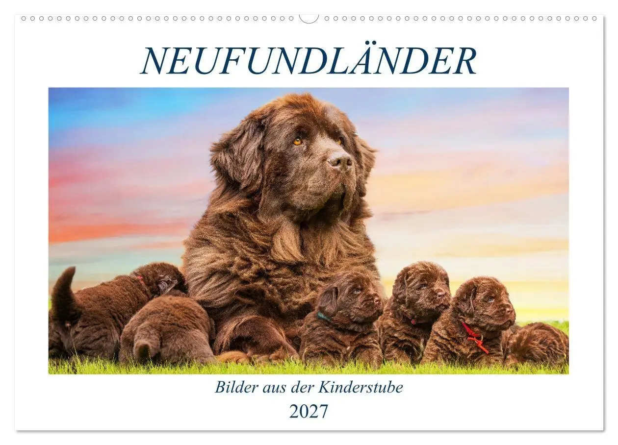 Cover: 9783569463790 | Neufundländer - Bilder aus der Kinderstube (Wandkalender 2027 DIN...