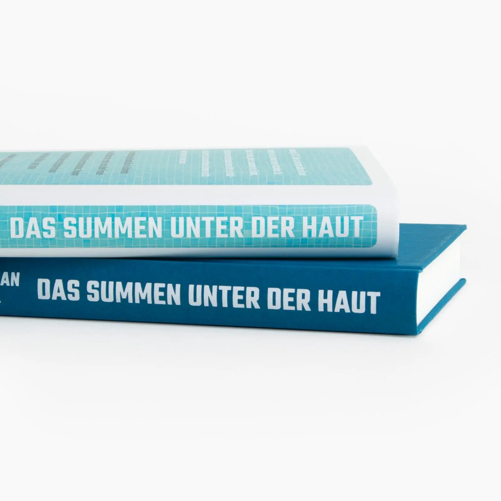 Bild: 9783458643890 | Das Summen unter der Haut | Stephan Lohse | Buch | 176 S. | Deutsch