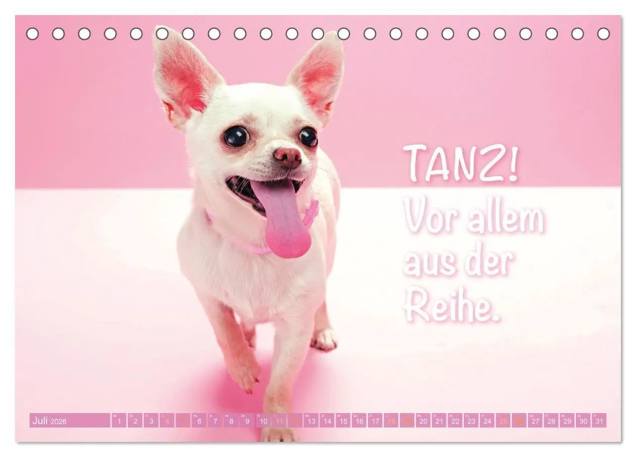Bild: 9783516673890 | Chihuahua: Kleine Hunde, aber oho (Tischkalender 2026 DIN A5 quer),...