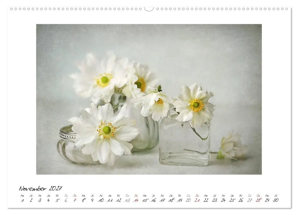Bild: 9783569903890 | Kleine Blütenwunder (hochwertiger Premium Wandkalender 2027 DIN A2...