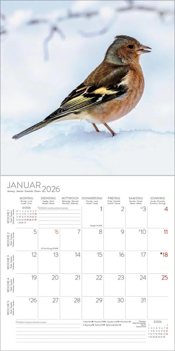 Bild: 9783731883890 | Vögel 2026 | Verlag Korsch | Kalender | 13 S. | Deutsch | 2026