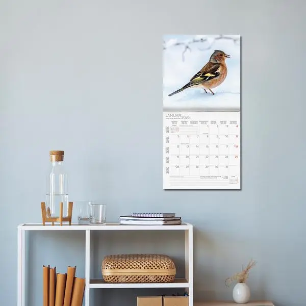 Bild: 9783731883890 | Vögel 2026 | Verlag Korsch | Kalender | 13 S. | Deutsch | 2026