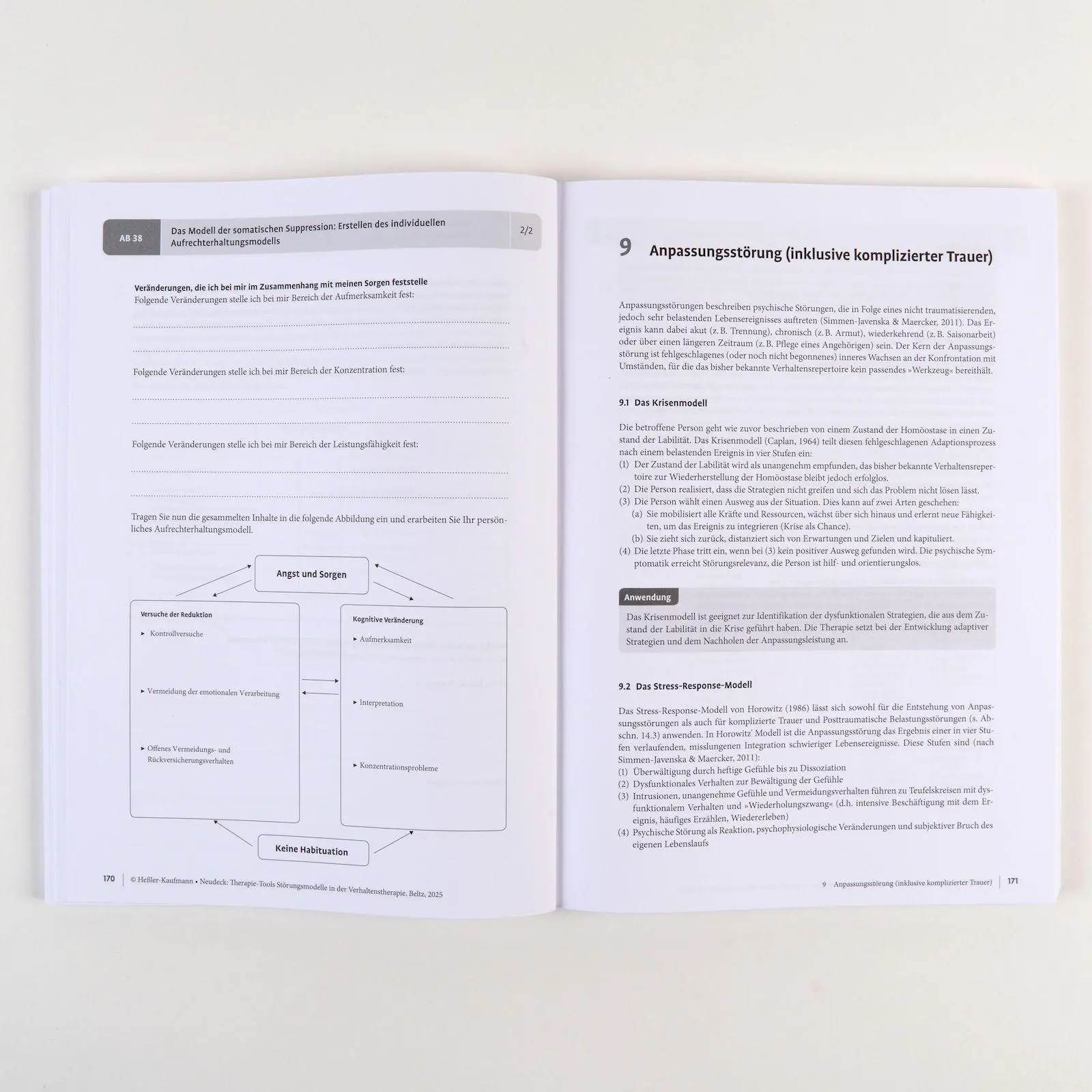 Bild: 9783621293990 | Therapie-Tools Störungsmodelle in der Verhaltenstherapie | Bundle