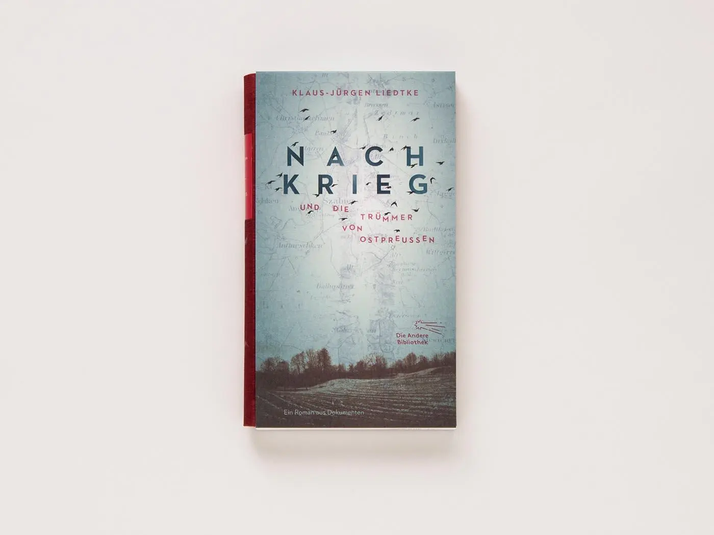 Bild: 9783847703990 | Nachkrieg und Die Trümmer von Ostpreußen | Roman aus Dokumenten | Buch