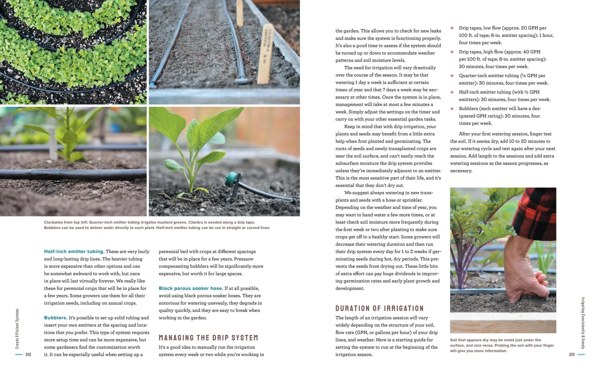 Bild: 9781635864090 | Grow More Food | Colin McCrate (u. a.) | Taschenbuch | Englisch | 2022