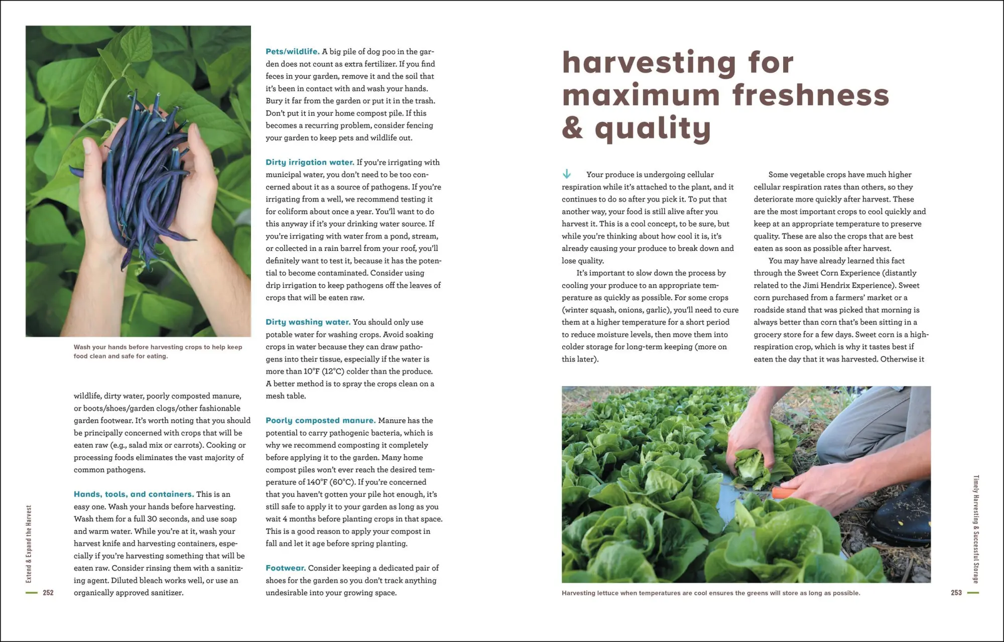 Bild: 9781635864090 | Grow More Food | Colin McCrate (u. a.) | Taschenbuch | Englisch | 2022