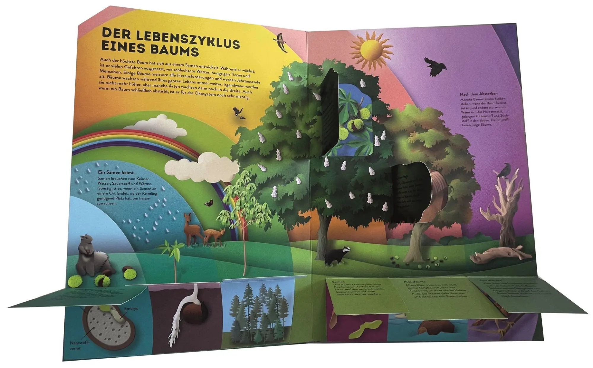 Bild: 9783831054190 | Wissenswelten. Bäume | Gail Armstrong | Buch | Wissenswelten | 28 S.