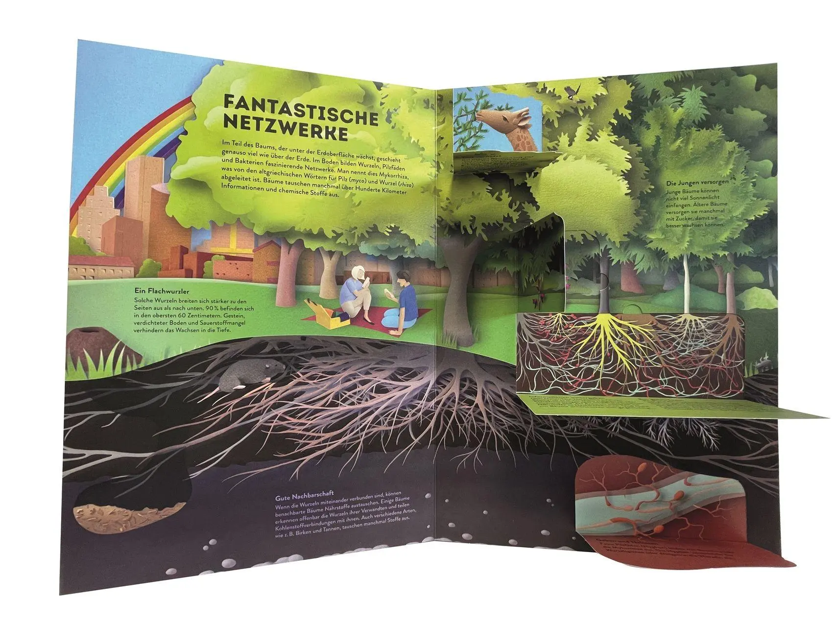 Bild: 9783831054190 | Wissenswelten. Bäume | Gail Armstrong | Buch | Wissenswelten | 28 S.
