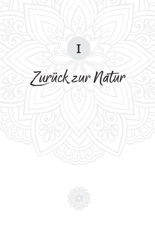Bild: 9783864104190 | Der Weg der Wilden Frau | Michaela Böhm | Taschenbuch | 300 S. | 2026