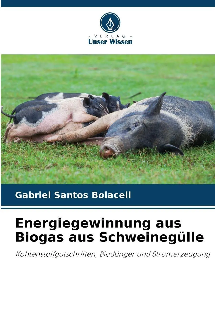 Cover: 9786209104190 | Energiegewinnung aus Biogas aus Schweinegülle | Bolacell | Taschenbuch