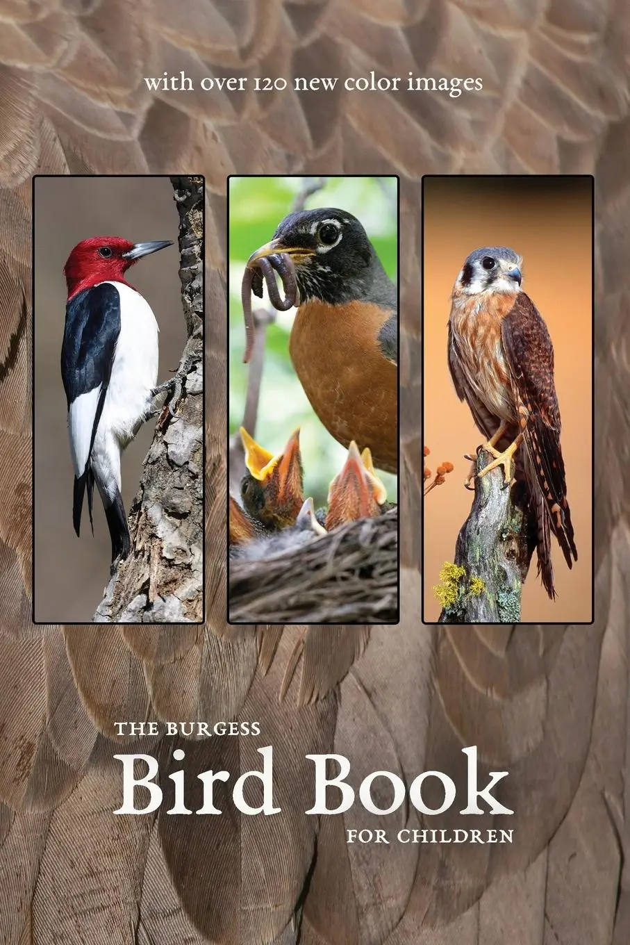 Cover: 9781922634290 | The Burgess Bird Book with new color images | Thornton Burgess | Buch